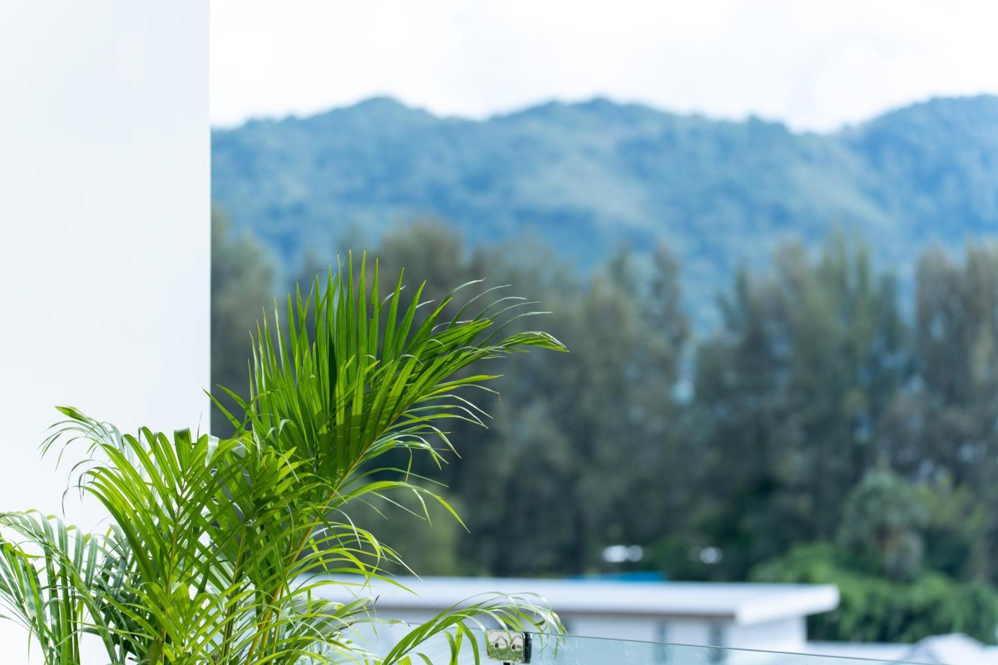 Sole Mio Boutique Hotel And Wellness - Adults Only شاطئ بانغ تاو المظهر الخارجي الصورة